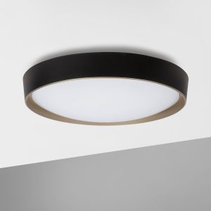 Plaf Surface - 31811